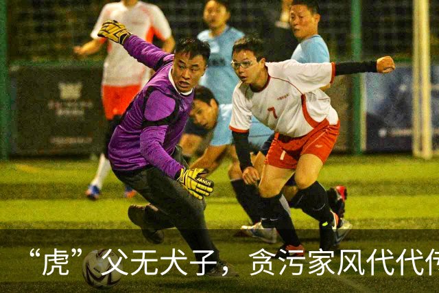“虎”父无犬子，贪污家风代代传