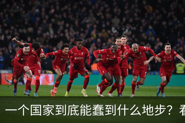 一个国家到底能蠢到什么地步？看看瑞典你就知道了，三十年前，瑞典的人均GDP高达3.2万美元，可以夜不闭户，如今到处都是难民