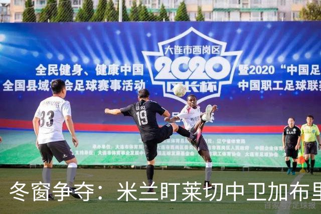 冬窗争夺：米兰盯莱切中卫加布里埃尔 埃弗顿水晶宫已询价