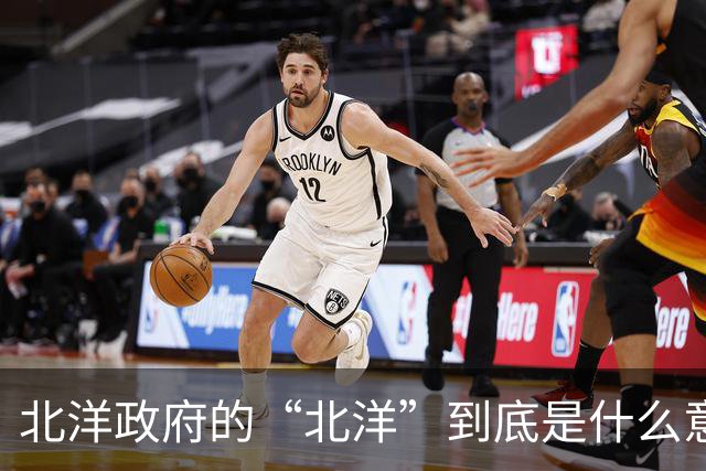 北洋政府的“北洋”到底是什么意思？不是北方洋人的意思