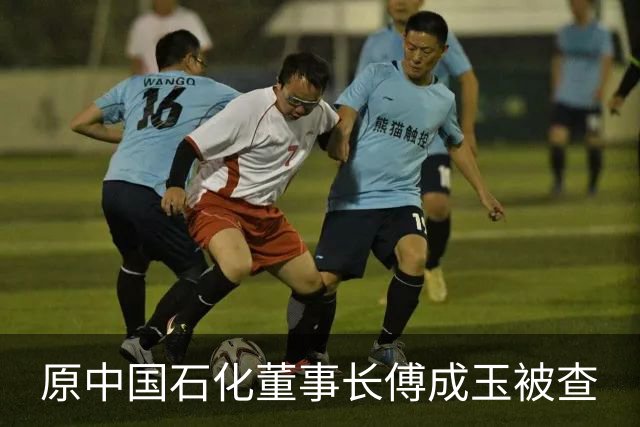 原中国石化董事长傅成玉被查