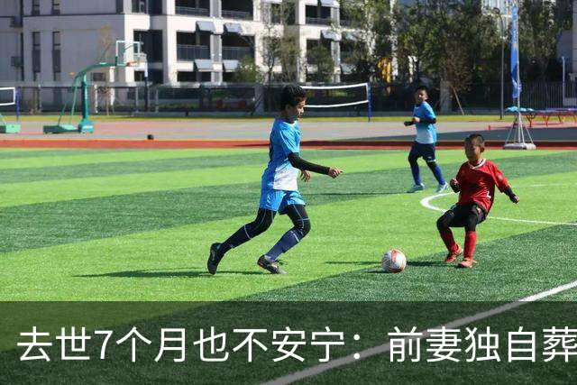 去世7个月也不安宁：前妻独自葬美国，李昌钰被二婚妻子带回江苏