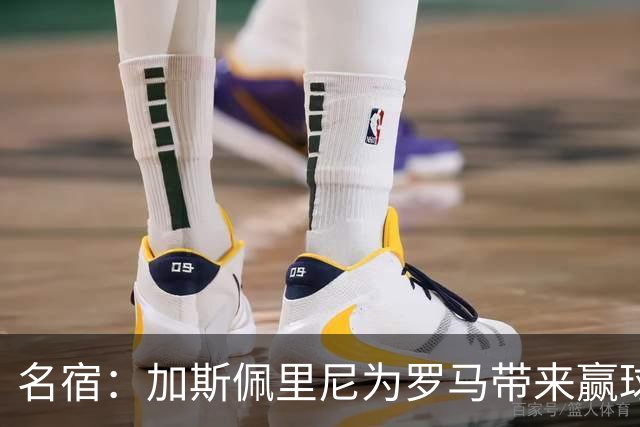 名宿：加斯佩里尼为罗马带来赢球心态，罗马和国米是意甲夺冠热门