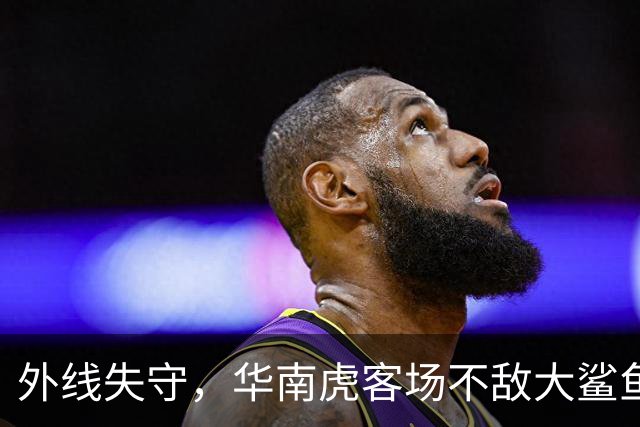外线失守，华南虎客场不敌大鲨鱼