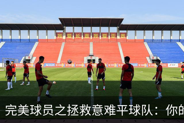 完美球员之拯救意难平球队：你的加入，能否将他们的故事改写？