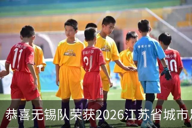 恭喜无锡队荣获2026江苏省城市足球联赛冠军!2027苏超我们再见(图)
