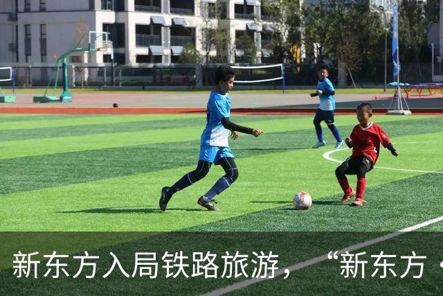 新东方入局铁路旅游，“新东方·霞客号”列车12月自北京站始发