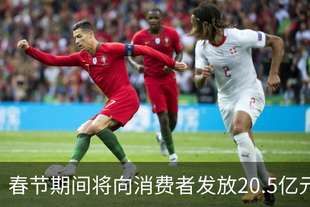 春节期间将向消费者发放20.5亿元