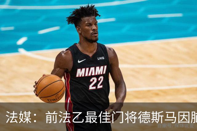 法媒：前法乙最佳门将德斯马因脑震荡后遗症宣布退役