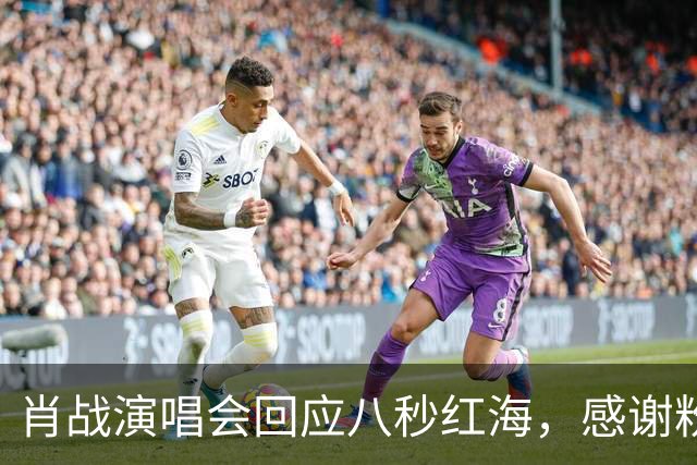 肖战演唱会回应八秒红海，感谢粉丝当年给他惊喜，双向奔赴实锤了