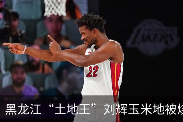 黑龙江“土地王”刘辉玉米地被烧后续来了！下架所有有关视频，自述前因后果